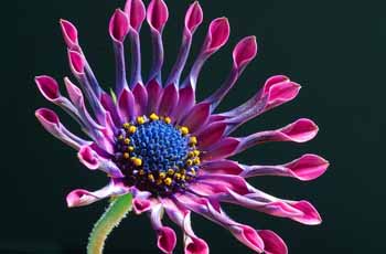 手机号压测网站