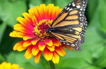 手机号压测网站