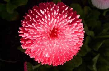 手机号压测工具